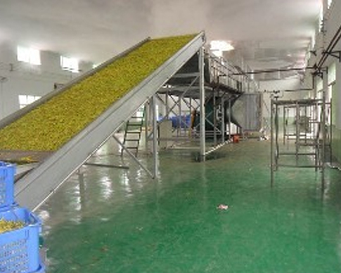 柠檬视频APP下载IOS批發